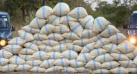 Over Rs. 73 Million Worth Of Cannabis Seized
